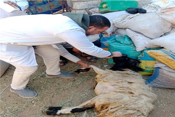 قوافل مجانية وقائية إرشادية