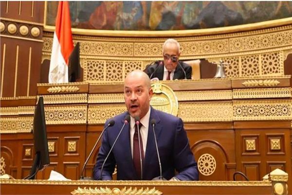 النائب أحمد ديا