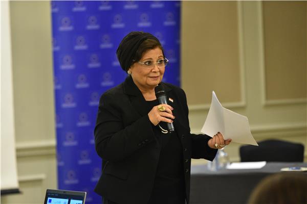 الدكتورة عبلة الألفي نائب وزير الصحة لشئون السكان وتنمية الأسرة