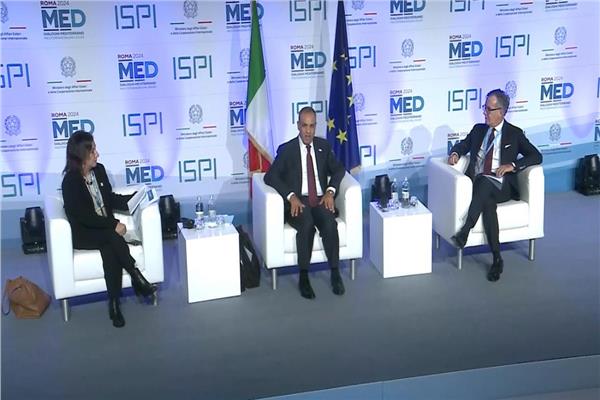  د. بدر عبد العاطي وزير الخارجية والهجرة