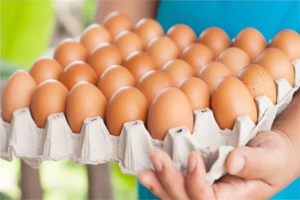 بيض المائدة