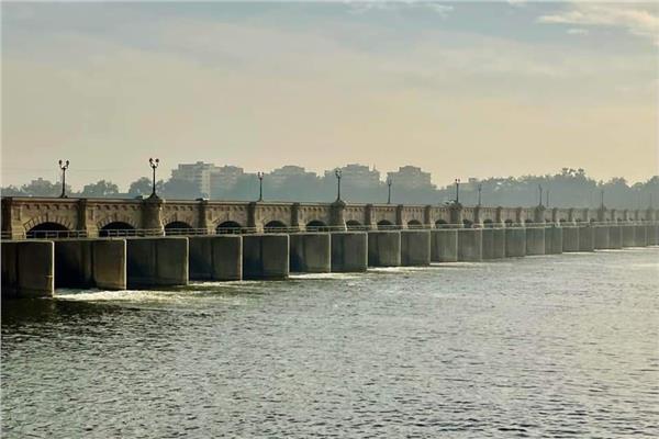 موضوعية