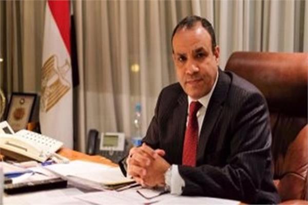 الدكتور بدر عبد العاطي وزير الخارجية