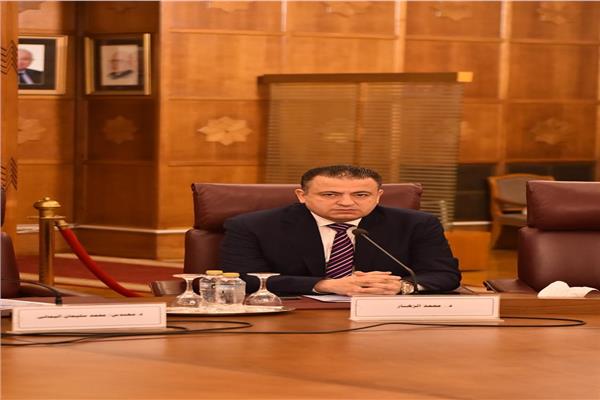 أمين العلاقات الخارجية بحزب حماة الوطن