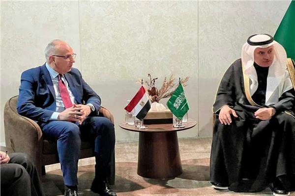 وزير الري يلتقى وزير البيئة والمياه والزراعة السعودى