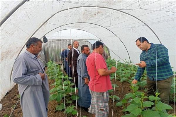 صورة موضوعية