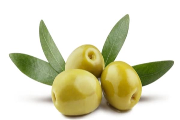 زيت الزيتون