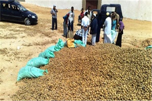 انقلاب سيارة محملة بالبطاطس (صورة أرشيفية) 