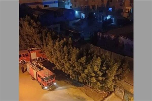 صورة أرشيفية