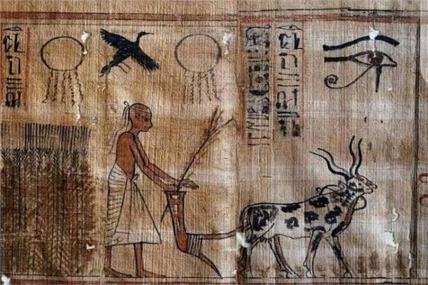 موضوعية