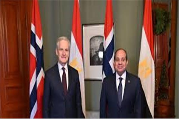الرئيس عبد الفتاح السيسي