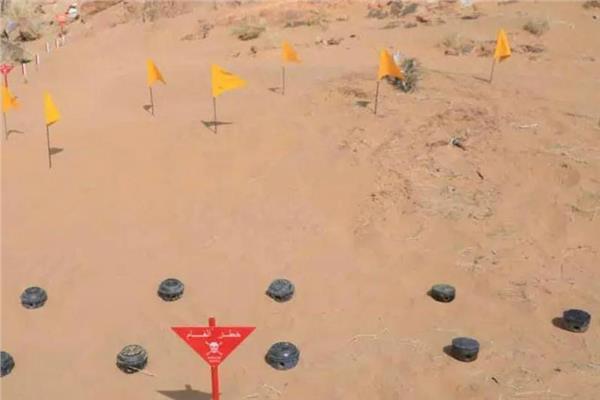 صورة أرشيفية