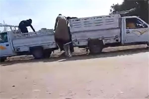 صور من الواقعة