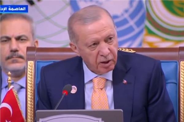 الرئيس التركي رجب طيب أردوغان