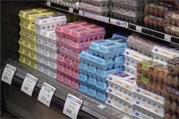 أرفف البيض بإحدى المتاجر الأمريكية - أرشيفية
