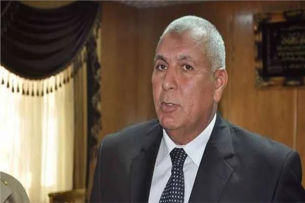 محافظ الوادي الجديد محمد الزملوط