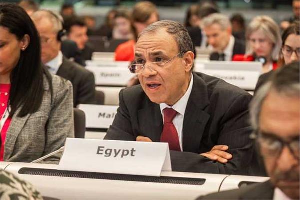 وزير الخارجية الدكتور بدر عبدالعاطي