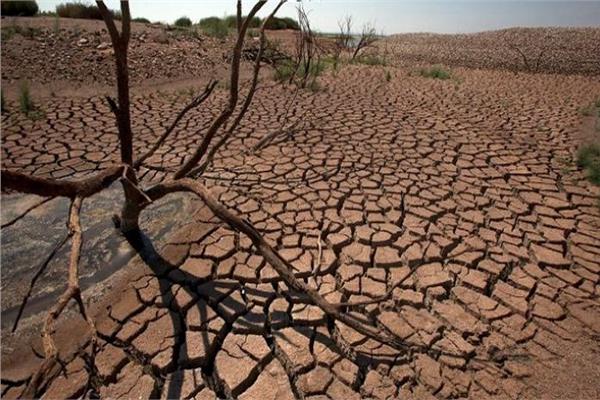 صورة موضوعية