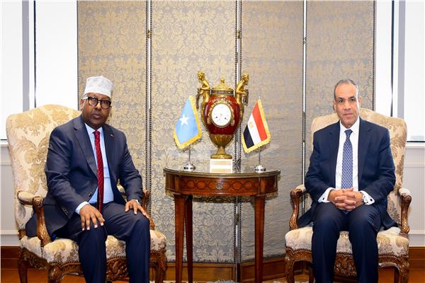 خلال لقاء وزير الخارجية والهجرة و وزير خارجية جمهورية الصومال الفيدرالية إلى مصر  