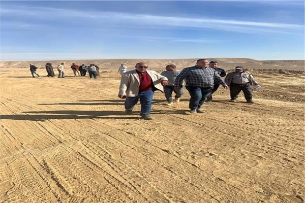 صورة موضوعية