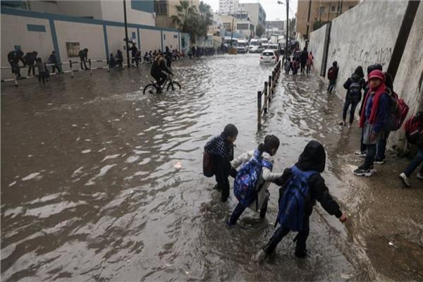 موضوعية