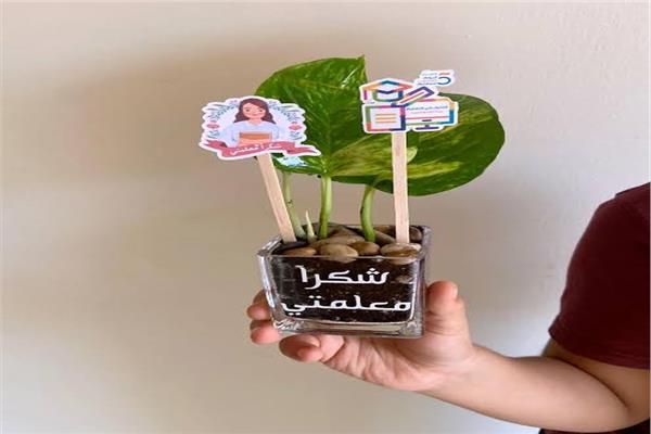 صورة موضوعية