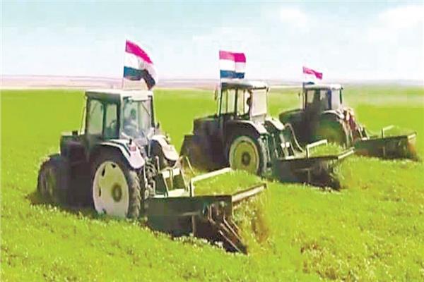  مشروعات مستقبل مصر