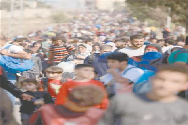 صورة موضوعية