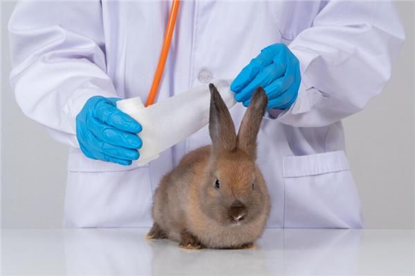 حمى الأرانب  مراكز السيطرة على الأمراض والوقاية منها (CDC)