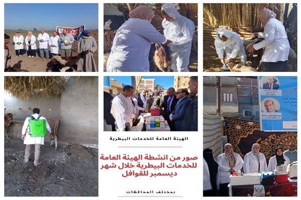صورة موضوعية