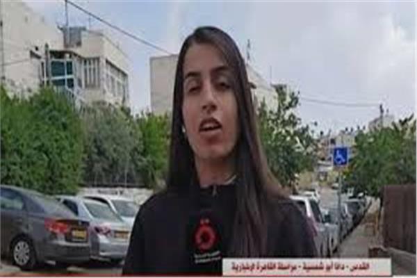 دانا أبو شمسية