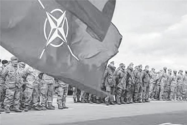 صورة موضوعية