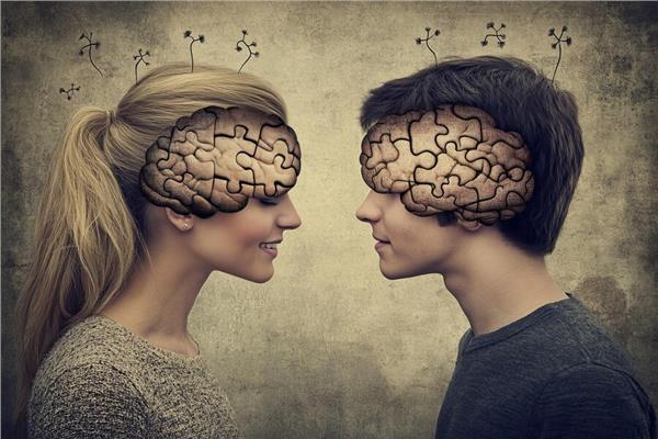 اختلافات بارزة بين دماغ الرجل ودماغ المرأة