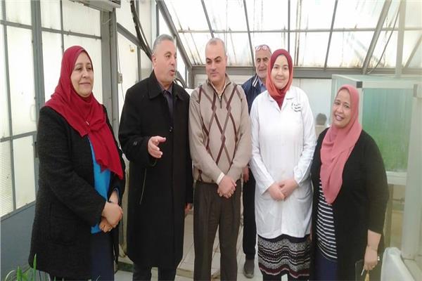 صورة موضوعية