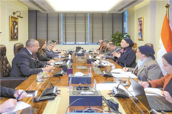 وزيرة التنمية المحلية خلال اجتماعها مع وزيرة البيئة ومحافظ جنوب سيناء