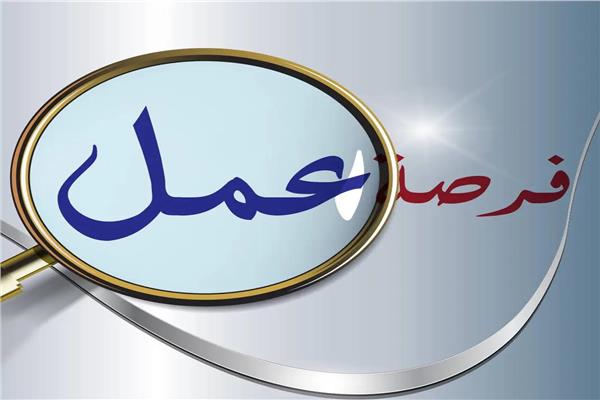 فرصة عمل بشركتين خاصة