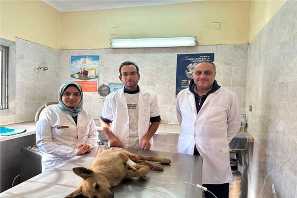  وحدة الحيوانات الأليفة تقدم خدماتها لكل المربين من المواطنين