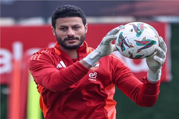 محمد الشناوي