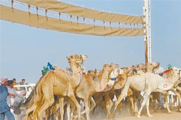 صورة موضوعية