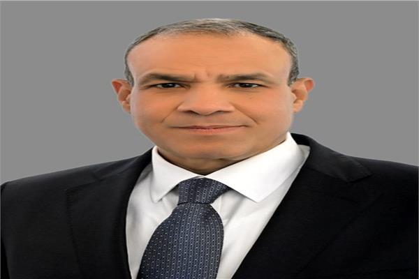 وزير الخارجية بدر عبد العاطي