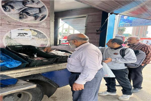 صورة موضوعيه