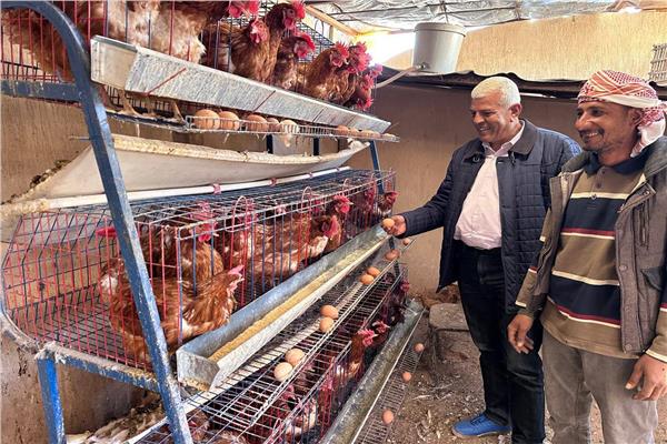 صورة موضوعية