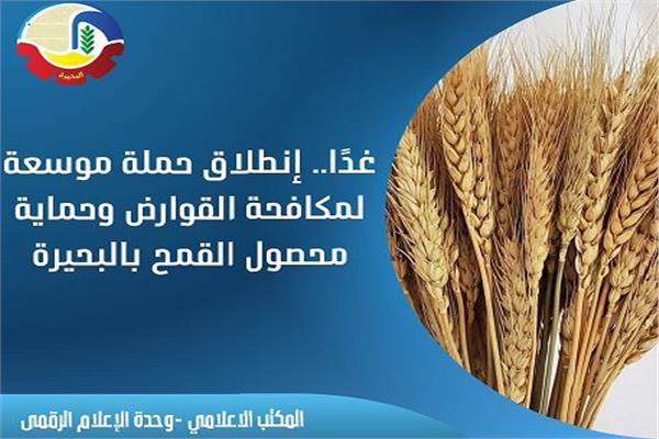 حملة موسعة لمكافحة القوارض وحماية محصول القمح