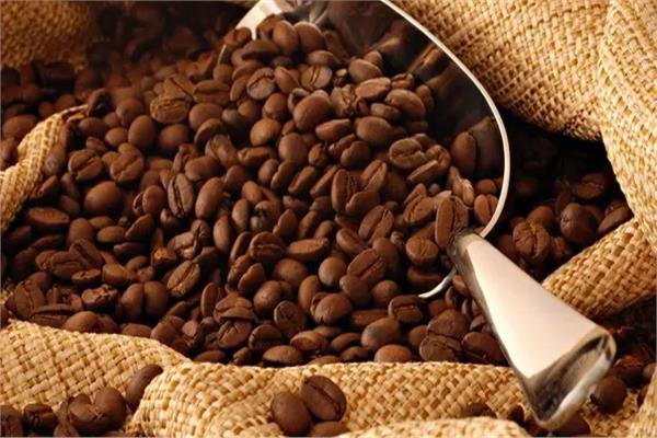 حبوب القهوة الآرابيك