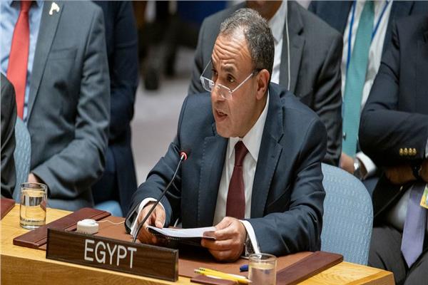 وزير الخارجية والهجرة بدر عبدالعاطي