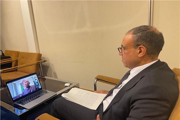 وزير الخارجية يدعو لتضافر الجهود الإقليمية والدولية لحل الأزمة في الكونجو