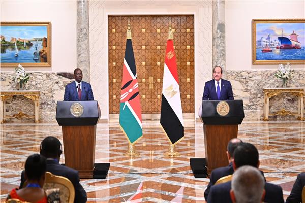 الرئيس عبد الفتاح السيسي