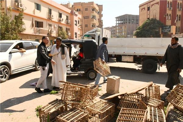 صورة موضوعية