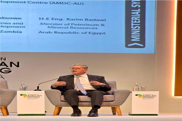 المهندس كريم بدوي وزير البترول والثروة المعدنية