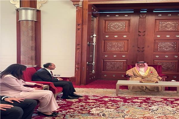 وزير الخارجية والهجرة يلتقي بجلالة ملك البحرين في المنامة  